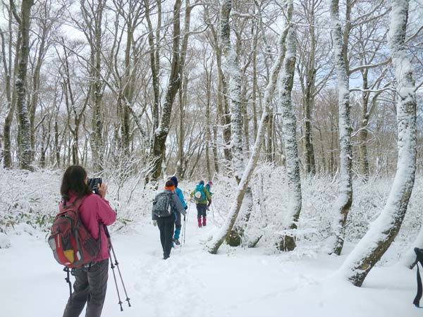 山頂広場へ向かう画像