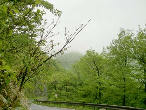 途中の林道からみるも雲の中の大万木山の画像