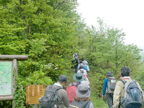 ふたたび登山道に入る画像