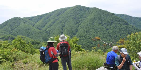 等検境展望台から大万木山の画像