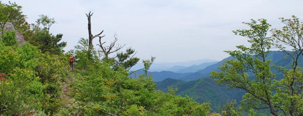 等検境山頂付近の画像