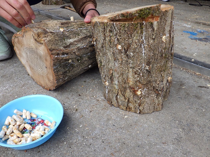 ナメコ植菌作業の画像