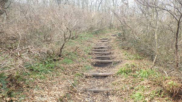 4月23日水場付近の登山道の様子