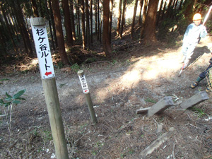 杉ヶ谷ルートと作業道の分岐の画像