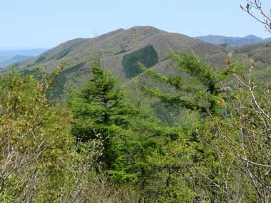 吉田毛無山の画像