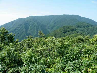 大万木山の画像