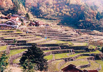 中山間地域の振興（写真）