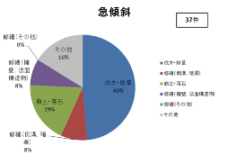 相談内容（急傾斜）