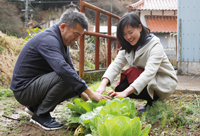 野菜作りの様子