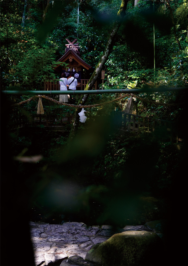 八重垣神社の鏡の池と奥の院の写真