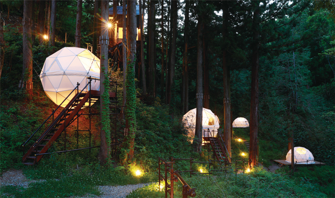 夜の森に浮かび上がった球体テントの写真