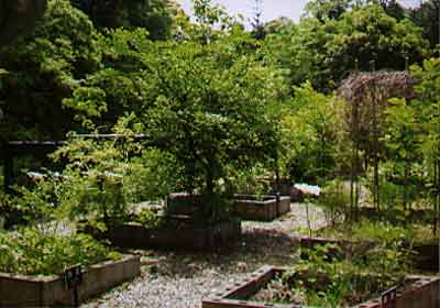 松江市の八雲立つ風土記の丘にある風土記植物園画像