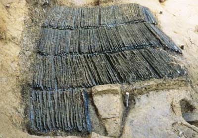 出雲市斐川町の荒神谷遺跡から発掘された358本の銅剣発見