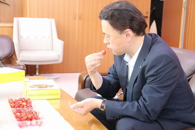 さくらんぼを試食する知事