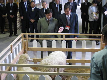 グリーンワークで飼育される羊を御覧になる皇太子殿下