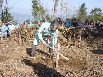 ヤマザクラの植樹を行う知事