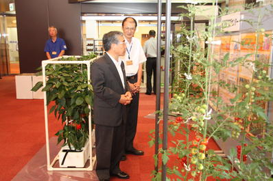 県農業技術センターのトロ箱栽培の展示ブースを視察