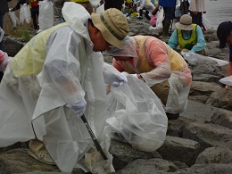 清掃活動の様子