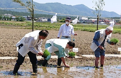 田植えのようす