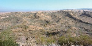 手作業による苗木植林作業が進む砂漠地域＝平成２５年１０月の画像