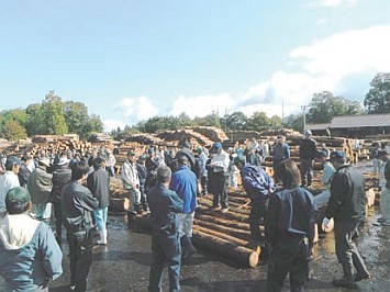 市場に並ぶ大量の県内産原木を競り合う様子の写真