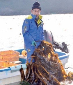 養殖したワカメを手にする善浪洋さんの写真