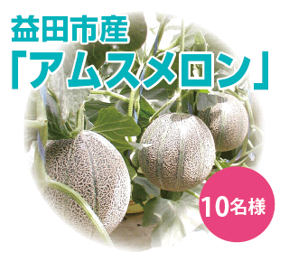 益田市産「アムスメロン」10名様