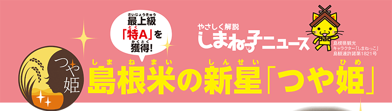 やさしく解説しまねっ子ニュース画像1