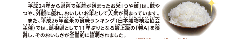 やさしく解説しまねっ子ニュース画像2