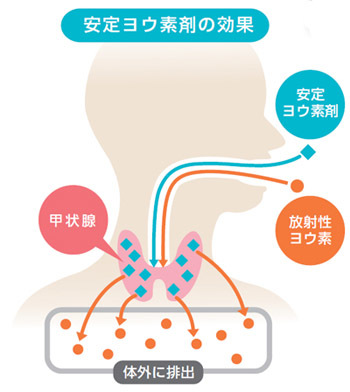 安定ヨウ素剤の効果イラスト