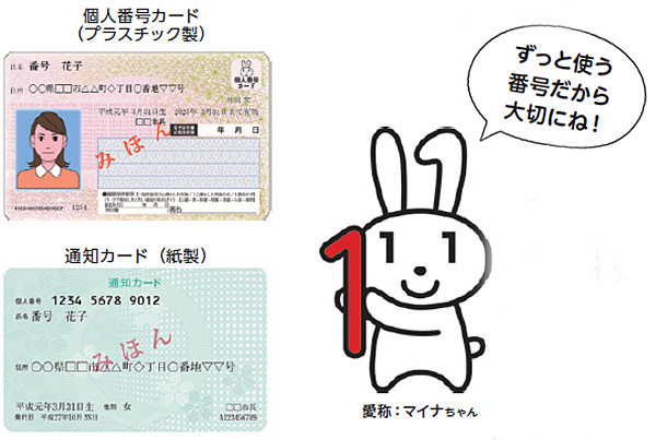 個人番号カードと通知カードの写真