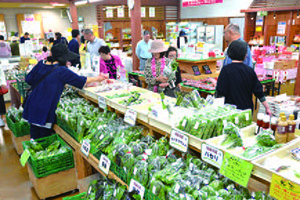 なかうみ菜彩館の店内の写真