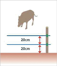 イノシシの電気柵の設置イメージ