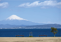 富士山の写真
