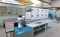 竹島資料室での展示の様子の写真