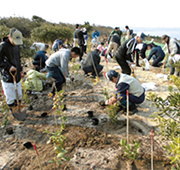 植栽作業を行う様子の写真