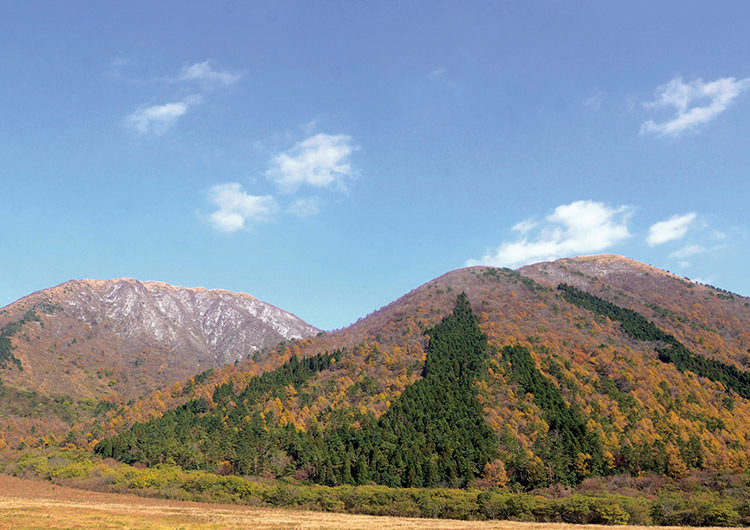 紅葉の三瓶山の写真