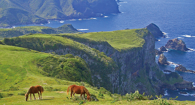 西ノ島町の摩天崖の写真