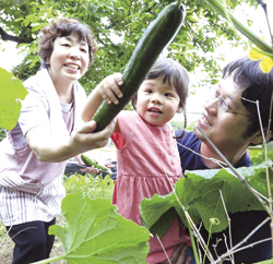 しまね田舎ツーリズムの写真