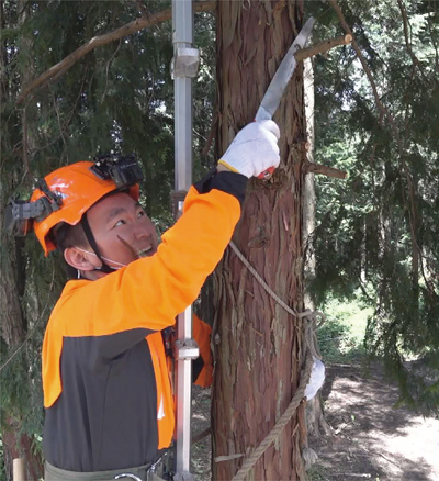 枝打ちを体験する山内健司さんの写真