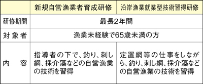 研修制度の表