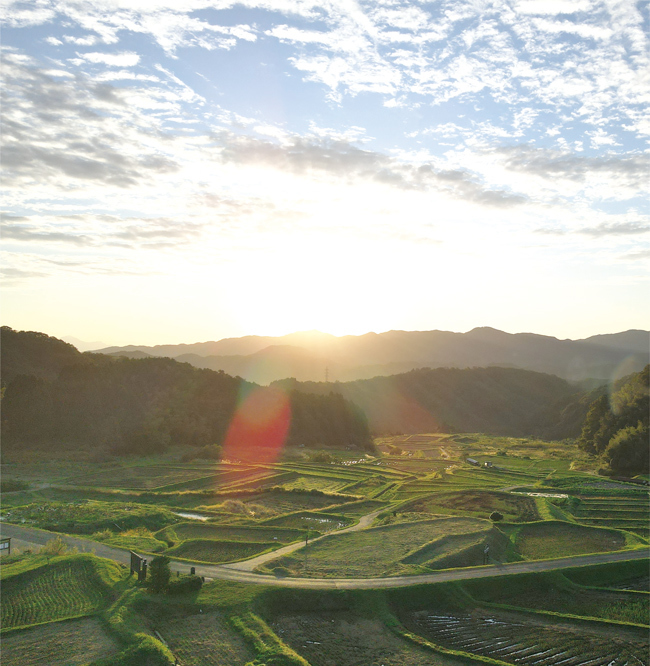 山王寺の棚田の写真