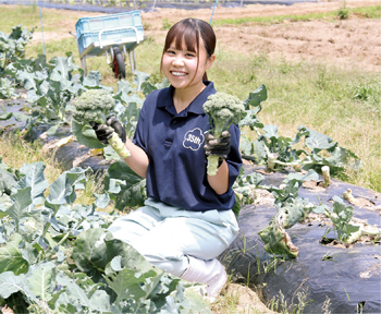 野菜を育てる様子