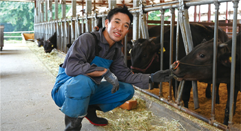 牛の世話をする中川さんの写真