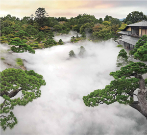 由志園が行う雲海システムの写真