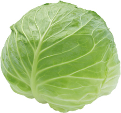 キャベツの写真