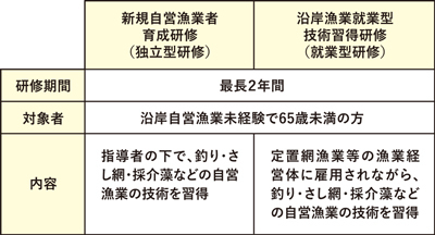 研修制度の期間・対象者・内容の表