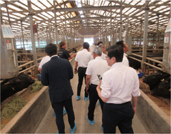 消費者ニーズに合った肉用牛の生産に取り組む牧場の視察の様子の写真