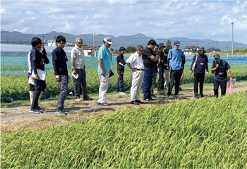 新品種の栽培試験状況を検討する様子の写真