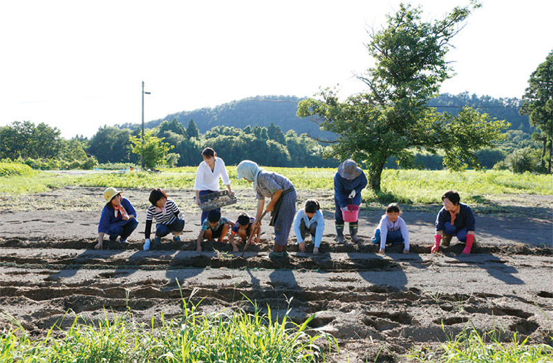 じゃが芋の植え付けをするさんべ女子会のメンバーの写真